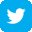 twitter-icon