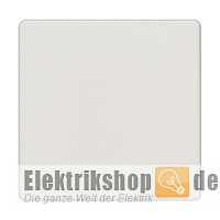 Wippe neutral 5TG6201 titanweiß Delta i-System Siemens