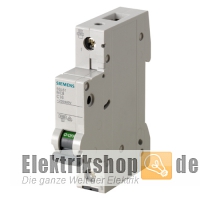 1B10 Leitungsschutzschalter B-10A 1polig 5SL6110-6 Siemens