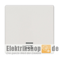 Wippe mit Fenster titanweiß Delta i-system 5TG6200 Siemens