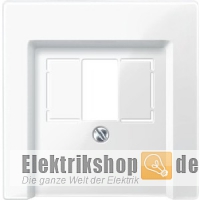 Zentralplatte TAE/Audio System M polarweiß gl. 296019 Merten