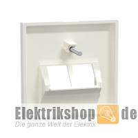 Zentralplatte UAE 2-fach System M polarwei&szlig; gl. 296119 Merten