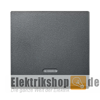 Wippe mit Kontrollfenster System M anthrazit 431014 Merten