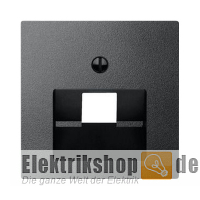 Zentralplatte für UAE-Einsatz 1-fach System M anthrazit 298314 Merten