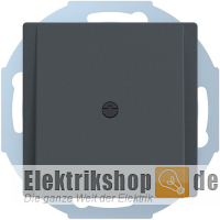 Zentralplatte Leitungsauslass System M anthrazit 295614 Merten
