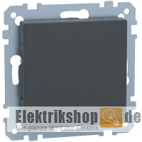 Blindabdeckung System M anthrazit 391814 Merten