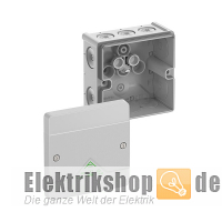 Abzweigdose AP/FR IP66 grau Abox 040-L Spelsberg