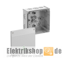 Abzweigdose AP/FR IP66 grau Abox 100-L Spelsberg