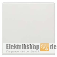 Wippe mit Fenster Delta style titanweiß 5TG7140 Siemens