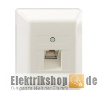 AP UAE Datendose 1-fach mit Abdeckung rw 13010129 Rutenbeck