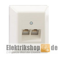 AP UAE Datendose 2-fach mit Abdeckung rw 13010131 Rutenbeck