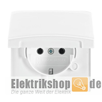 Steckdose Klappdeckel Allwetter 44 aw 20EUGK-34-101 Busch Jaeger