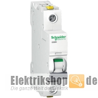 1B10 LS-Schalter B 10A 1-polig iC60N A9F03110 Schneider Electric