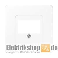 Abdeckung TAE/USB alpinweiß CD 569 T WW Jung