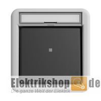 Kontrollschalter Aus-Wechsel Aufputz IP44 grau 311630 Gira