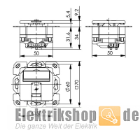 Datendose 1-fach AMJ45 8 K UP/50 Cat.6a aw 100022959 Telegärtner