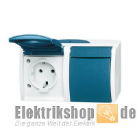 Steckdose 2fach waagerecht Ocean 20/2 EW-53 Busch Jaeger