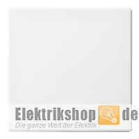K55 BBwhite Wippe Aus/Wechsel/Kreuz/Taster reinweiß K552506/04BB KLEIN