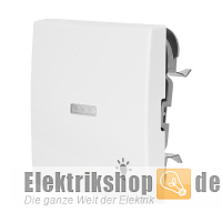 K55 BBwhite Wippe Kalotte klar Symbol Licht reinweiß K552520LI/04BB KLEIN