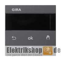 Raumtemperaturregler Display anthrazit 539328 Gira