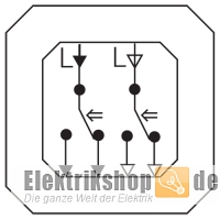 Doppel-Wipptaster-Einsatz 2 Wechsler 315500 Gira