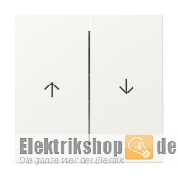 Wippe Jalousie Pfeilsymbol reinweiß seidenmatt 329427 Gira