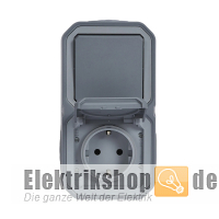 Wechselschalter/Steckdose AP Feuchtraum Plexo New FRAP grau 069746L Legrand