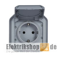 Steckdose 1-fach Aufputz Feuchtraum Plexo New FRAP grau 069730L Legrand