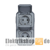 Steckdose 2-fach senkrecht AP Feuchtraum Plexo New FRAP grau 069744L Legrand