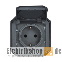Steckdose 1-fach AP Feuchtraum Plexo New FRAP anthrazit 069799L Legrand