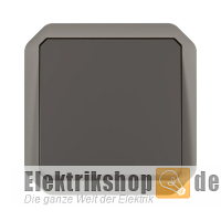 Wechselschalter Einsatz Plexo New FRAP anthrazit 069801L Legrand