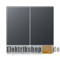 Wippe Serien anthrazit matt A 595 BF ANM Jung