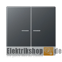 Wippe Serie mit Lichtleiter anthrazit matt A 595 BF KO5 ANM Jung