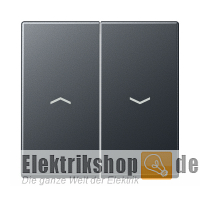 Wippe Jalousie mit Pfeilsymbol anthrazit matt A 595 BF P ANM Jung