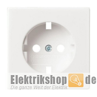 Future Linear Ersatz-Abdeckung zu 20 EUC-84 ME-C-Scheibe Busch Jaeger