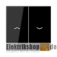 Wippe Jalousie mit Pfeilsymbol schwarz glänzend A 595 P SW Jung