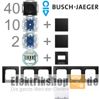 1-Familienhaus Paket Balance SI schwarz matt Busch Jaeger