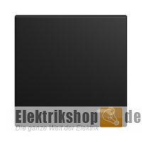 Balance SI Wippe mit Symbol Schlüssel 2520 TR-915 Busch-Jaeger Balance SI Wippe mit Symbol Schlüssel 2520 TR-915 Busch-Jaeger