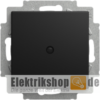 Balance SI Blindzentralscheibe schwarz matt 2538-915 Busch-Jaeger Balance SI Blindzentralscheibe schwarz matt 2538-915 Busch-Jaeger