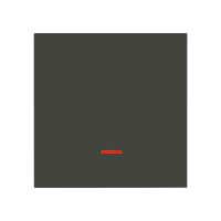 Karre Plus 55 Wippe Kontroll-Aus anthrazit Panasonic