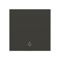 Karre Plus 55 Wippe mit Symbol Licht anthrazit Panasonic