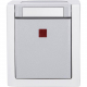 Pacific FR Kontroll-Ausschalter AP 1-polig grau EGB