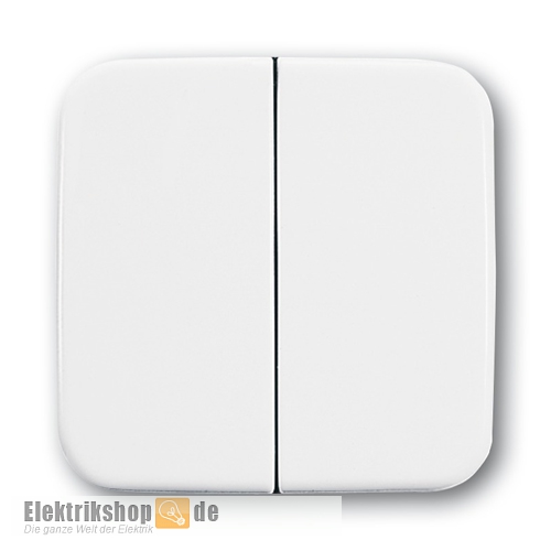 Busch Jaeger Wippe Serie/Wechsel-Wechsel/Doppeltaster 2505-214