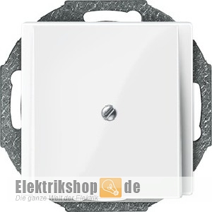 Zentralplatte Leitungsauslass System M polarweiß 296319 Merten