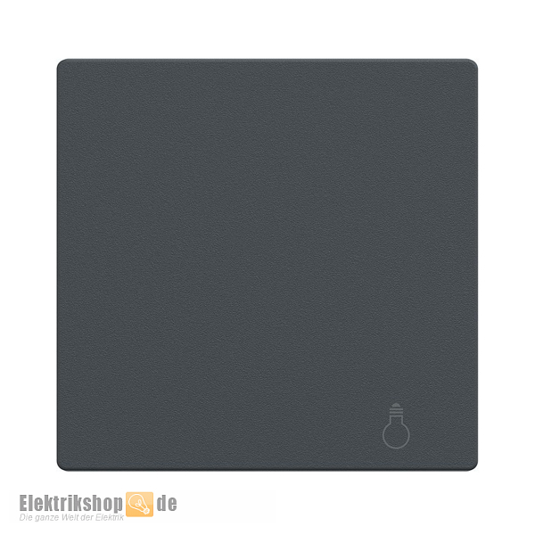 Wippe mit Kennzeichnung Licht anthrazit MEG3302-0414 Merten