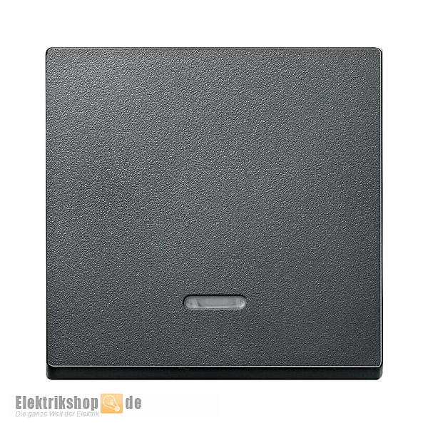 Wippe mit Kontrollfenster System M anthrazit 431014 Merten