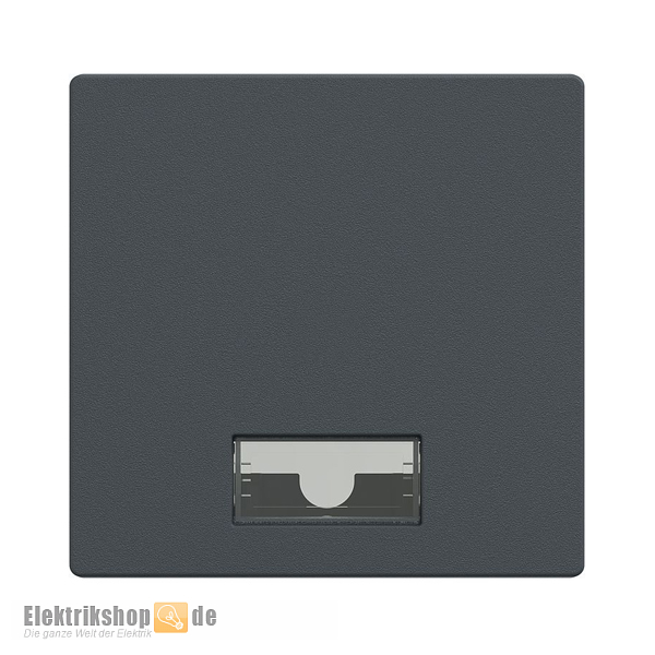 Wippe mit Symbolfenster u. Symbolset System M anthrazit 433814 Merten
