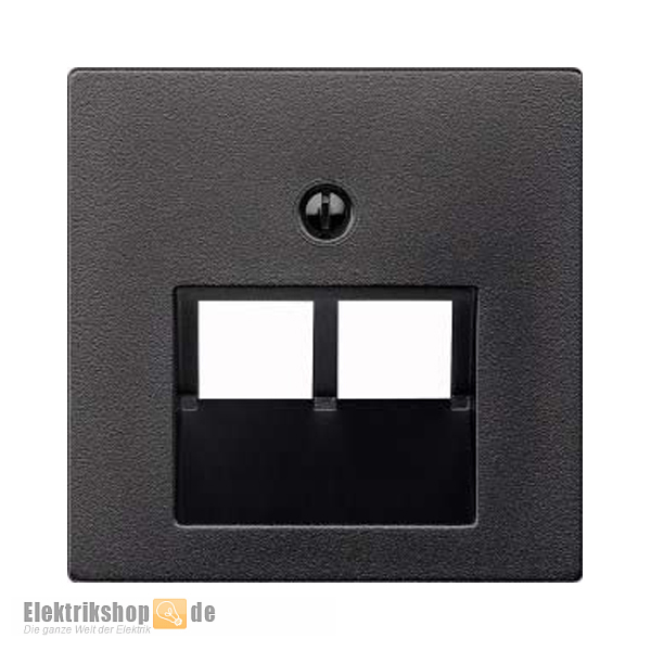 Zentralplatte für UAE-Einsatz 2-fach System M anthrazit 298014 Merten