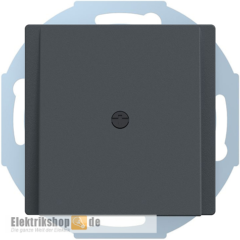 Zentralplatte Leitungsauslass System M anthrazit 295614 Merten