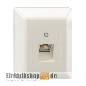 AP UAE Datendose 1-fach mit Abdeckung rw 13010129 Rutenbeck